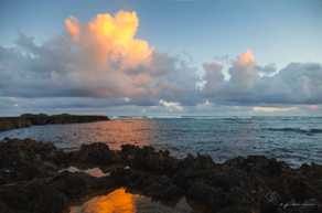 Sunrise at Turtle Bay-0809.jpg